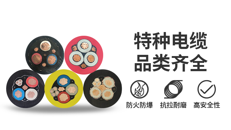 電纜